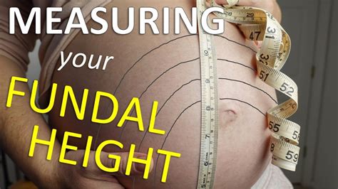 This screening is one way to track your baby's growth. . Fundal height calculator